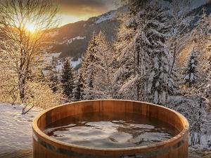 Chalet Jorat - OVO Network