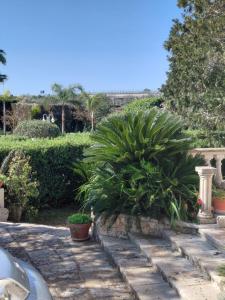Tenuta la Fresa