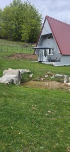 Cottage by the brook