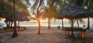 Luxury Jungle Villa w Private Pool•Steps to Beach