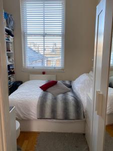 Cosy & Bright One Bedroom Flat in Primrose Hill