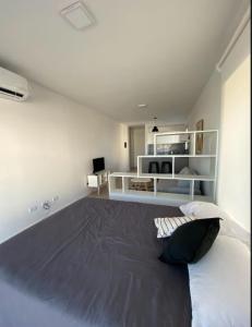 Studio en Almagro Hospital Italiano
