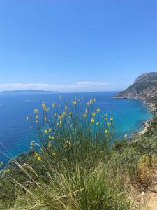 Isola Rossa Villa Bifamiliare Monte Argentario