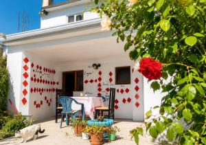Rozafa guesthouse Shkodër