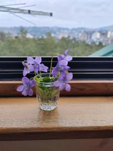 Apartman Kućazaodmor