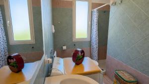 Case Solaria img18