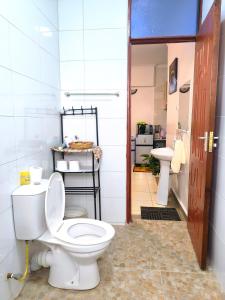 Thome Nest