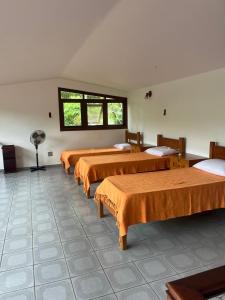 Seaside house - 4 bedrooms - 8 beds - 20 meters from the beach