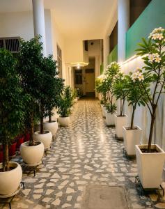 The Nandi International Boutique Stay