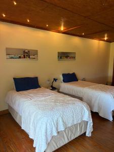 Esperanza Room M