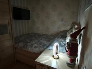 Narva Art Cat Apartment