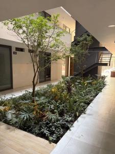 Chapultepec Concordia