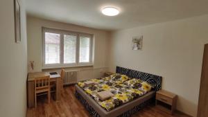 Apartmán pro 5-6 osob, Meziboří M1