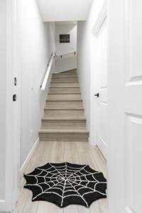 Cozy 2-bedroom guest suite for work and family!