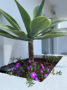 Urban Spaces Ibiza