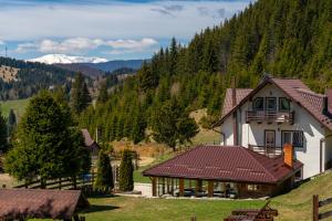 Pensiunea Poienita Ursului