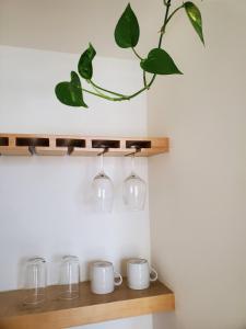Pitaya Guest Suite