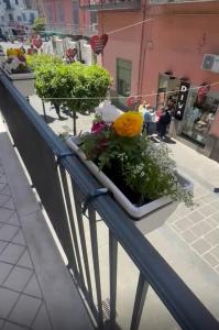 DOMUS Puteoli