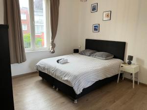Cosy uccle chic flat