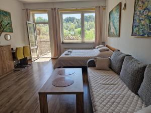 Zielona Przystań Apartament z widokiem na Pieniny