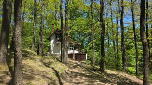Forest House Bukulja