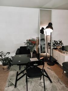 Grand appartement à Paris 20