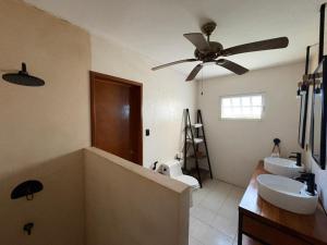 Casa Bugambilia Progreso #2