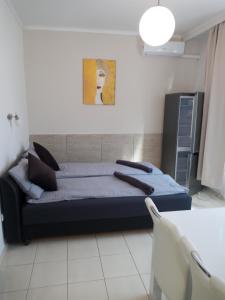 Adam Apartman