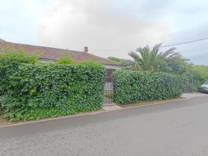House in the greenery Podgorica