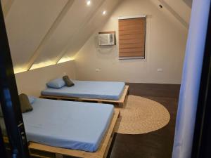 Anilao All-Inclusive Daily Scuba Dive plus Meals, Onsite Nudibranch experience at Aloha Aina Resort
