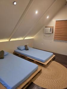 Anilao All-Inclusive Daily Scuba Dive plus Meals, Onsite Nudibranch experience at Aloha Aina Resort