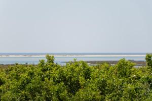 Villa Arco da Barra 8 -10 people Ria Formosa Heart