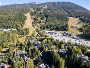 Luxury Ski-in Ski-out home on Blackcomb