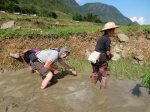 homestay