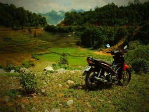homestay