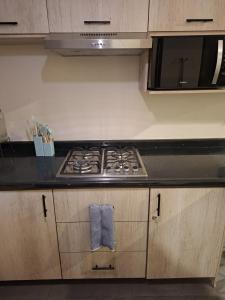 Comfortable apartment, in a private area, Nuevo Ixtapa