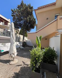 Il giardino delle magnolie