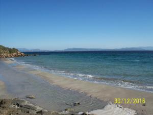 Domos Le Due Tuie img85