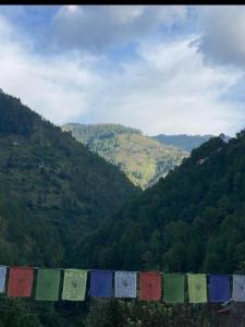 Himalayan Escape - A Homestay with Mountain View, Parking, Food & Bonfire