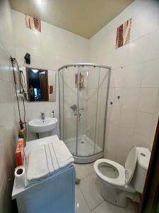 Vake Apartment near Park