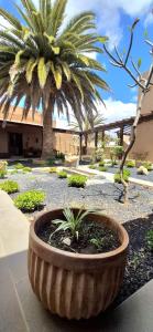 Casa emblematica Miranda con Jardín interior canario