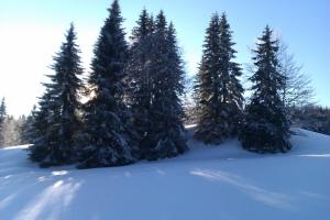 Chalets Chalet Daria : photos des chambres