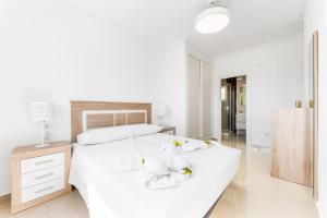 Aparthotel Laguna Rosa