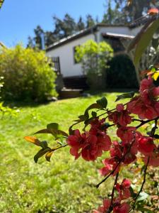 Snugglehaus - noch keine Bilder, traust du dich -