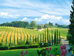 Vacation resort Borgo della Meliana