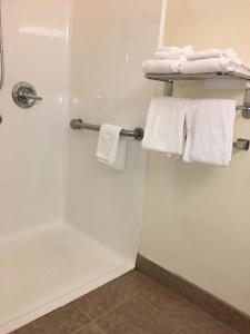 Queen Room with Two Queen Beds - Disability Access/Non-Smoking room in Microtel Inn & Suites by Wyndham Indianapolis Airport