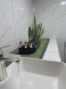 The H Stay - Homestay Hue