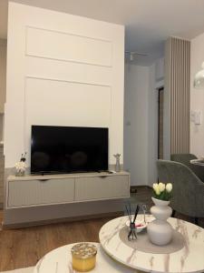 Apartman Tea Banja Koviljaca