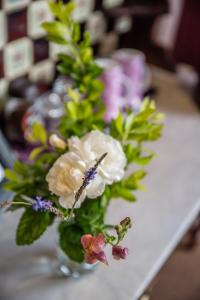 5th Avenue Gooseberry Guest House