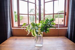 5th Avenue Gooseberry Guest House